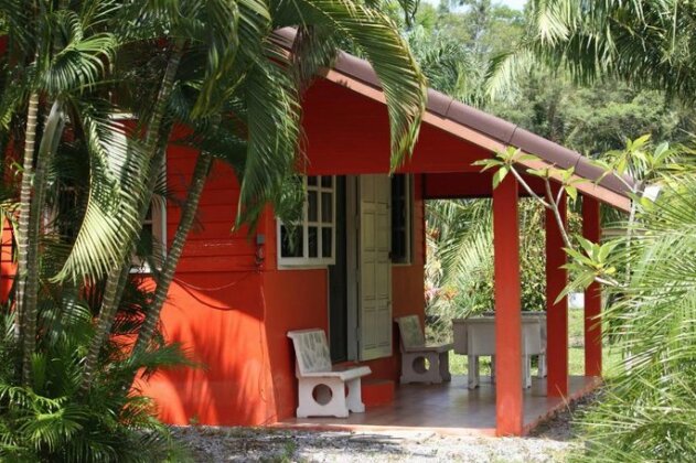 Coconut Valley Bed & Breakfast - Photo2