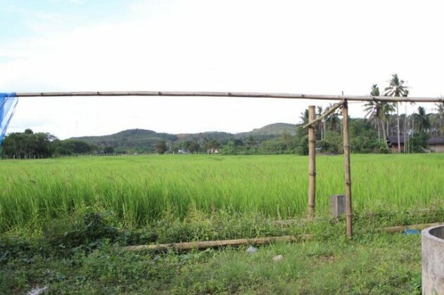 Farmer Country - Photo4