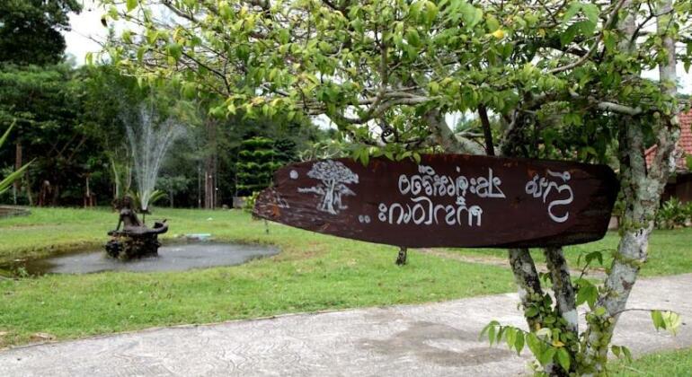 Ranong Resort and Laguna - Photo4