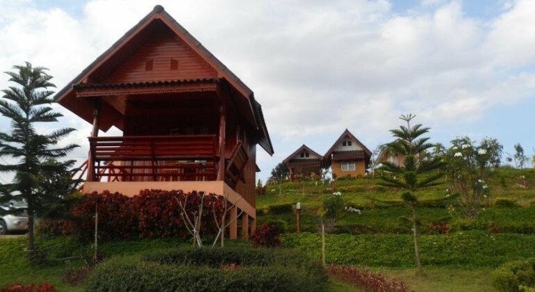 Khao Kho Flora