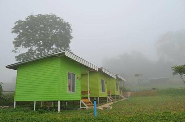 Misty Vale Resort - Photo2