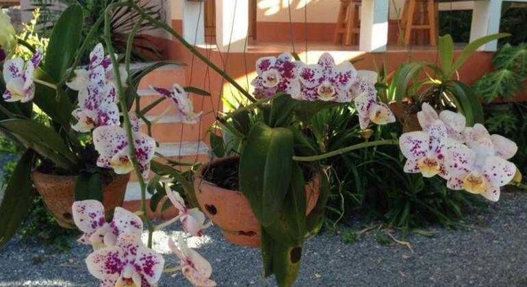 Chuanchom Resort - Photo3