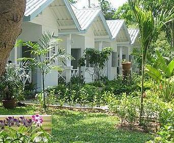 Pim Beach Hotel - Photo3