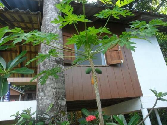 Elephant & Castle Ko Chang - Photo5