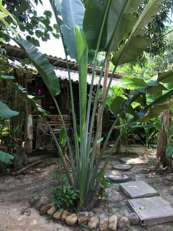 Freedom home - Photo4