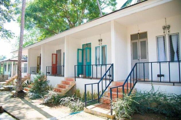 Sleepy Owl Hostel
