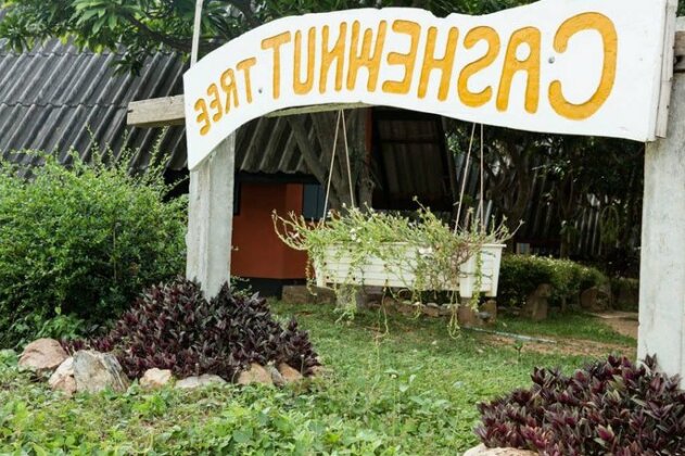 Cashewnut Tree Bungalows - Photo3