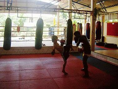 Lanta Gym - Photo3