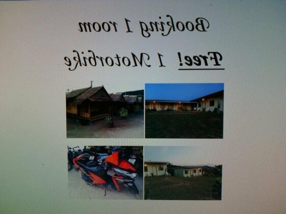 Pitt Bungalow - Photo4