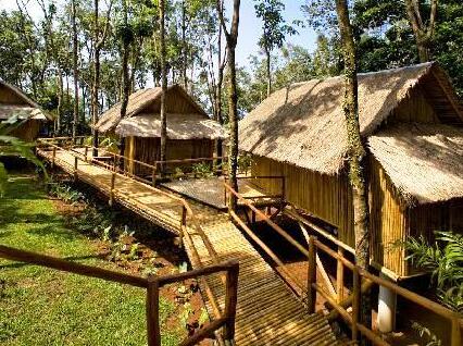 Bamboo Hideaway Resort - Photo3