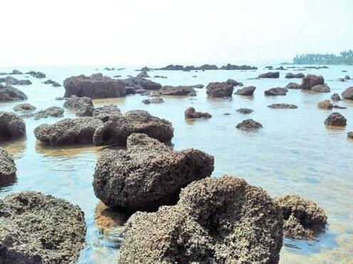 The Rock Cafe - Photo4