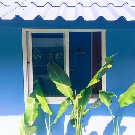 Blue Moon Beach Hut - Photo3