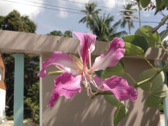 U-Sabai Villa - Photo3