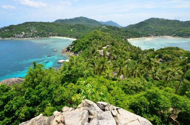 Chandra Hostel Koh Tao - Photo5