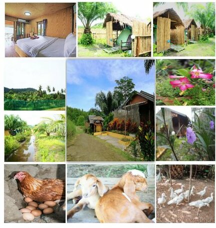 YaoIsland Resort and Farm - Photo2