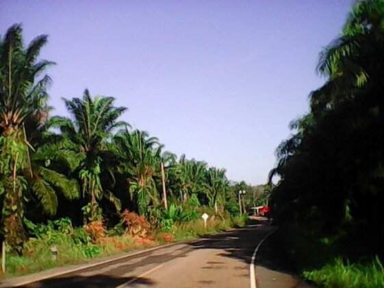 Pordee Shop