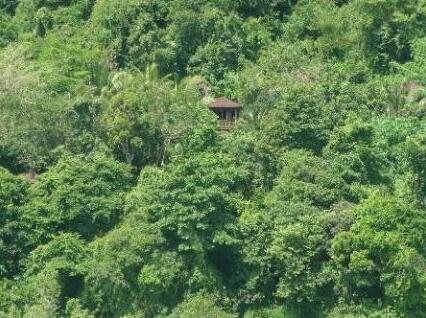 Railay Garden View Resort - Photo5