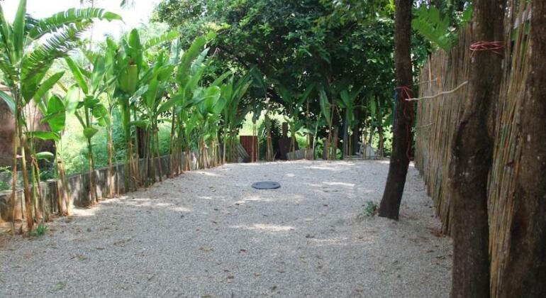 Thalane home - Photo4