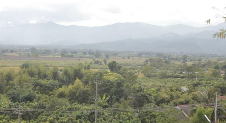 NIDA Rooms Thaton Mae Ai Foreste - Photo3
