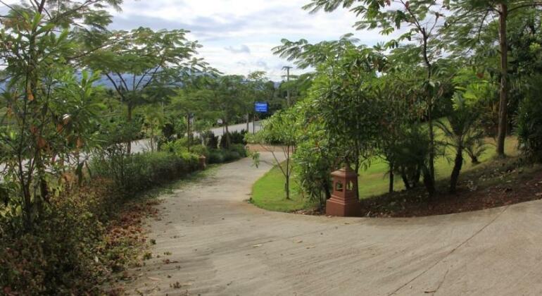 NIDA Rooms Thaton Mae Ai Foreste - Photo5