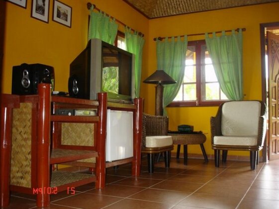 Old Tree's House - Photo2