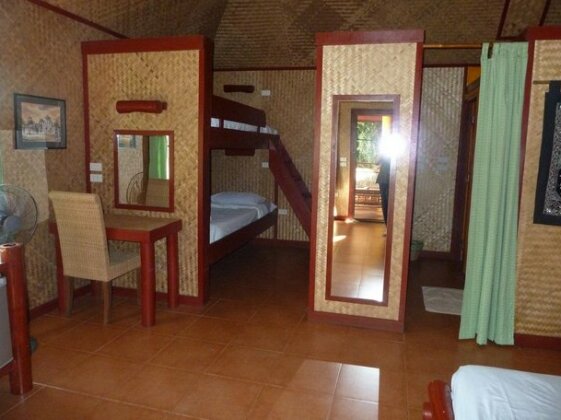 Old Tree's House - Photo4