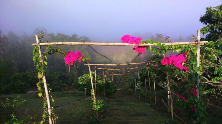 Fuang Fah Camping - Photo2