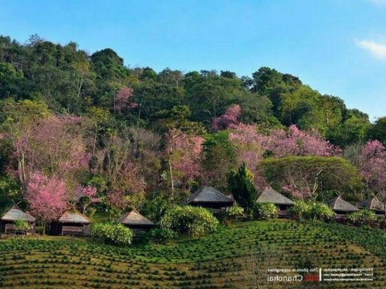 Khumnaiphol Resort - Photo5