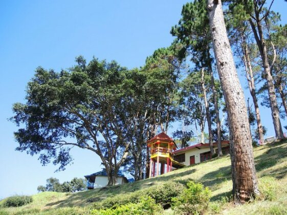 Maesalong Resort - Photo4