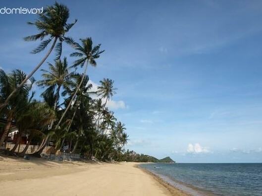 Blissful Tropical Beach House - Photo3