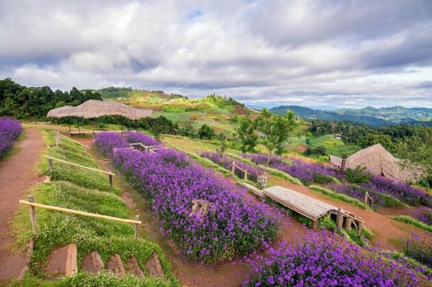 Mori Natural Farm - Photo3