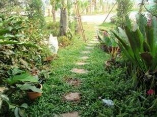 Chongnang Resort - Photo5