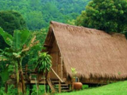 Bamboo Country Lodge - Photo5