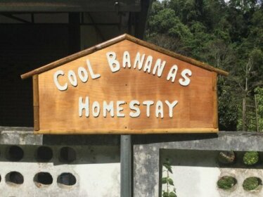 Cool Bananas Homestay