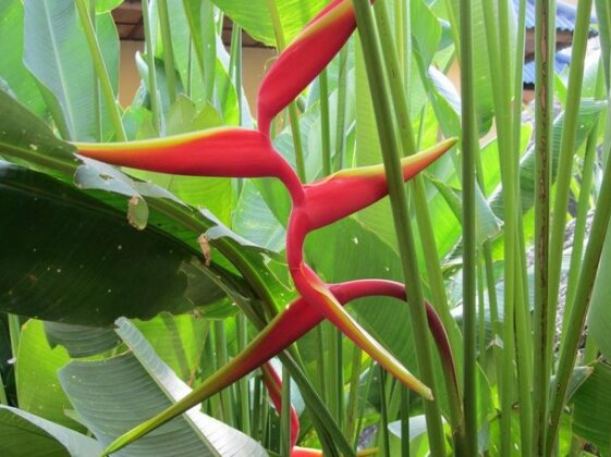 Flower Paradise & Roestiland - Photo4