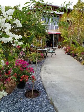 Coffee&Homestay568 Branch 2 - Photo5