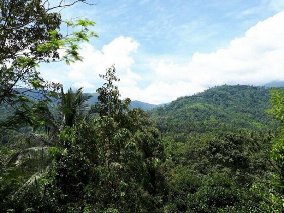 Lace House Homestay - Photo2