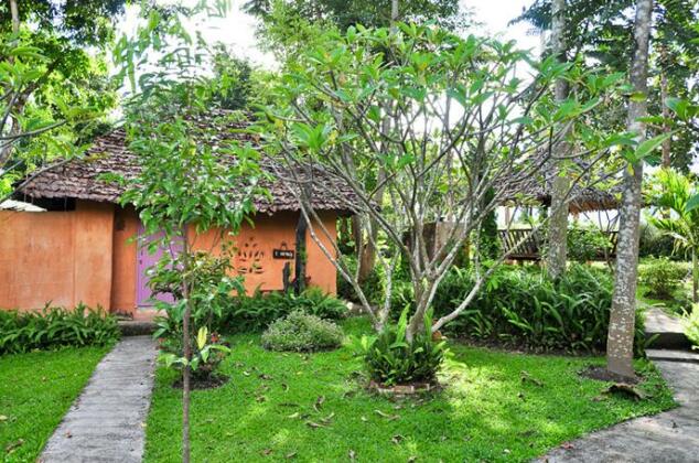 Amy's Earth House - Photo5