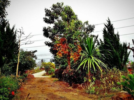 Baan Pai Likit - Photo3