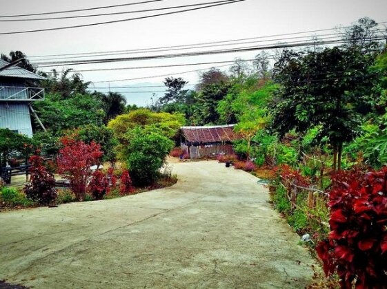 Baan Pai Likit - Photo5