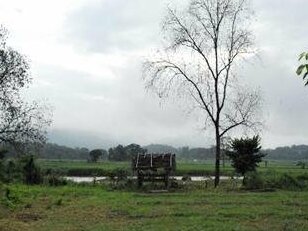 Baan Suan Sapan Pai - Photo5