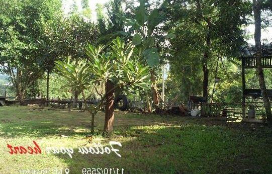 Banpak Phusuay - Photo2