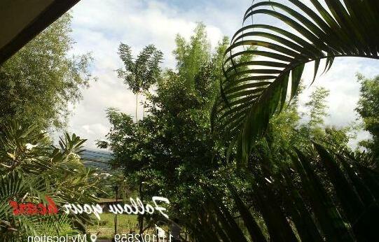 Banpak Phusuay - Photo4