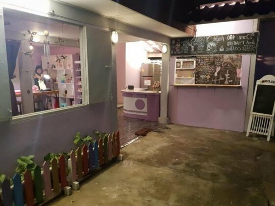 Enchanted Girls Backpackers - Photo2