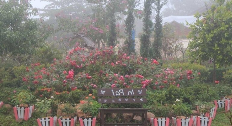 In Pai Resort - Photo2