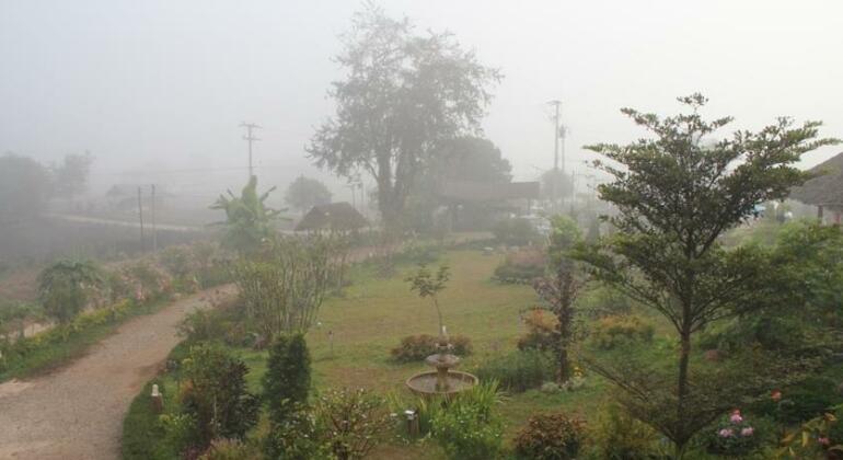 In Pai Resort - Photo3