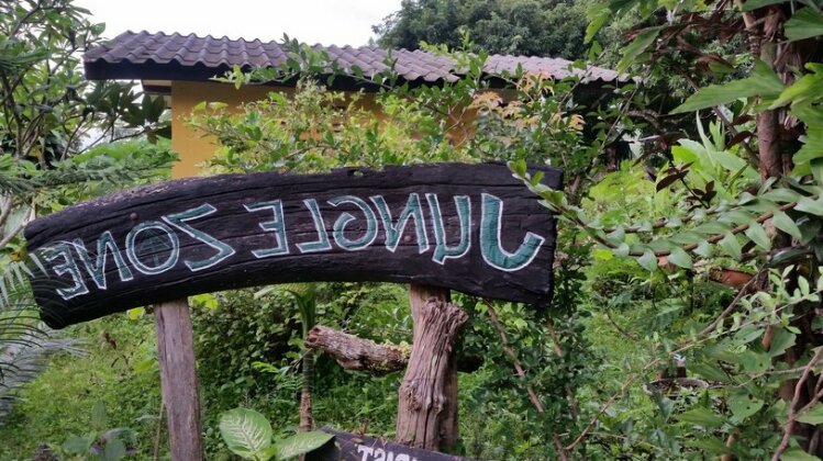 Jungle Zone - Photo3