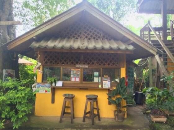 Misty View Guesthouse - Photo4