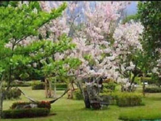Muang Pai Resort - Photo5