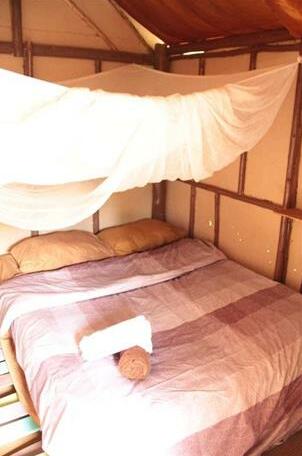 Purple Monkey Backpackers - Photo3